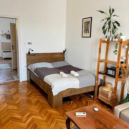 Domos Buda Castle Balcony Apartment Budapešť Exteriér fotografie